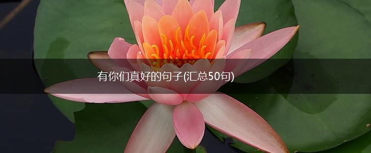 有你们真好的句子(汇总50句),第1张
