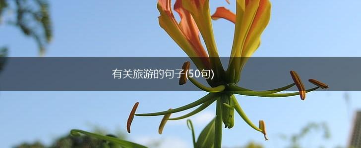 有关旅游的句子(50句),第1张