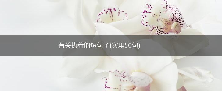 有关执着的短句子(实用50句),第1张