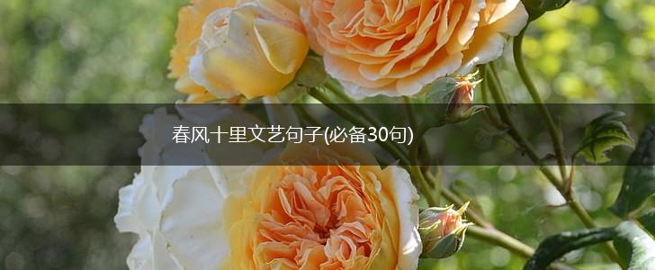 春风十里文艺句子(必备30句),第1张