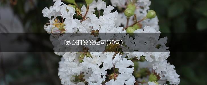 暖心的说说短句(50句),第1张