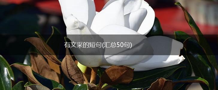 有文采的短句(汇总50句),第1张
