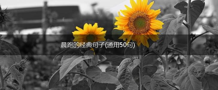 晨跑的经典句子(通用50句),第1张