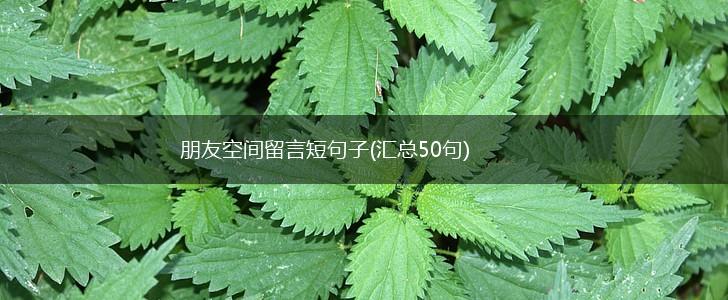 朋友空间留言短句子(汇总50句),第1张