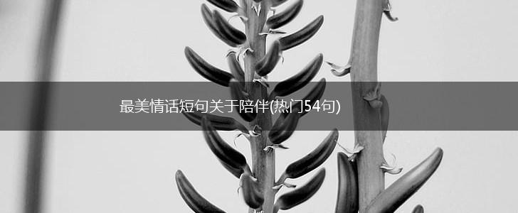最美情话短句关于陪伴(热门54句),第1张