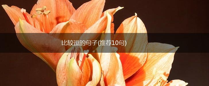 比较逗的句子(推荐10句),第1张