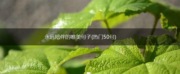永远陪伴的唯美句子(热门50句),第1张