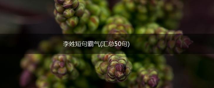 李姓短句霸气(汇总50句),第1张