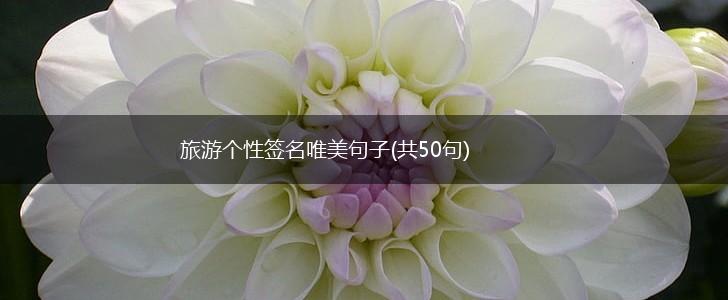旅游个性签名唯美句子(共50句),第1张