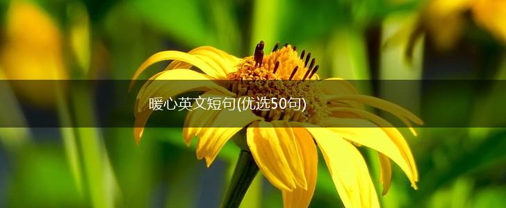 暖心英文短句(优选50句),第1张