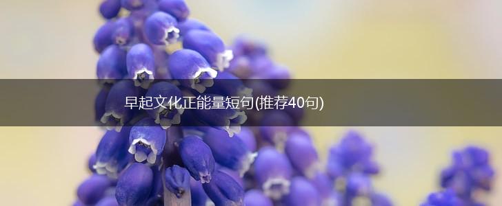 早起文化正能量短句(推荐40句),第1张