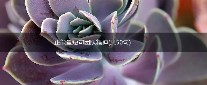 正能量短句团队精神(共50句),第1张