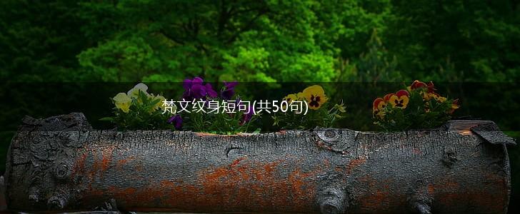 梵文纹身短句(共50句),第1张