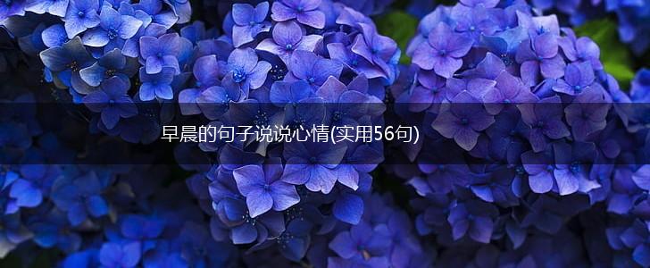 早晨的句子说说心情(实用56句),第1张