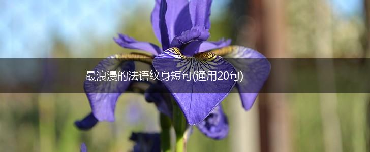 最浪漫的法语纹身短句(通用20句),第1张