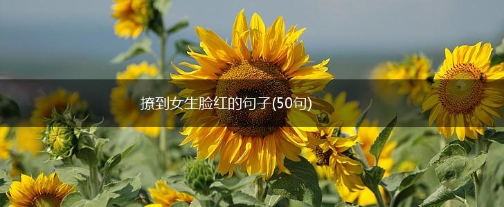 撩到女生脸红的句子(50句),第1张 撩到女生脸红的句子(50句),第1张