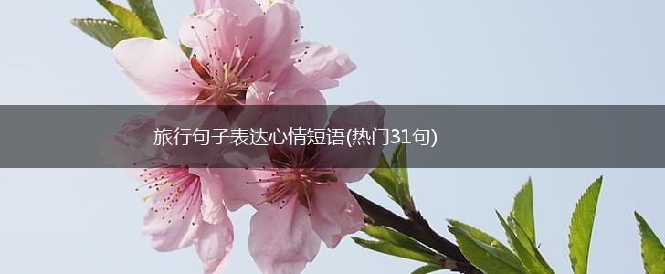 旅行句子表达心情短语(热门31句),第1张