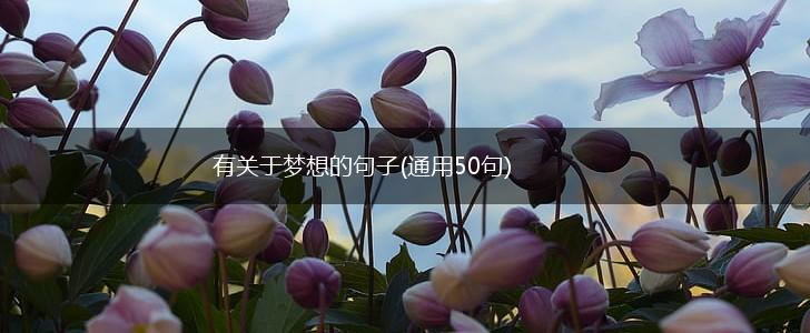 有关于梦想的句子(通用50句),第1张