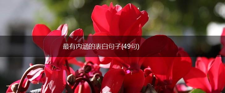 最有内涵的表白句子(49句),第1张