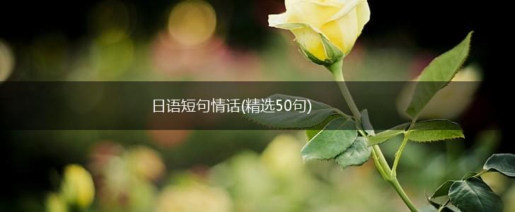 日语短句情话(精选50句),第1张