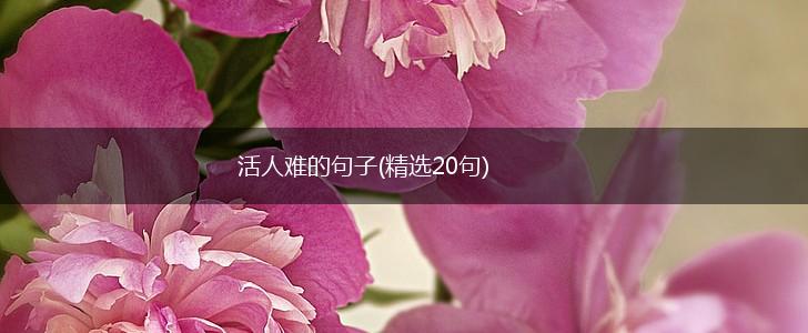 活人难的句子(精选20句),第1张