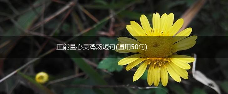 正能量心灵鸡汤短句(通用50句),第1张