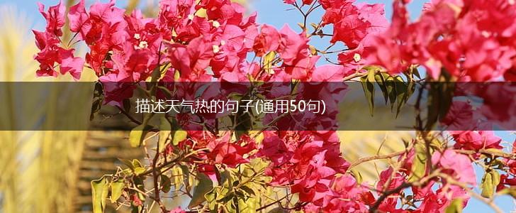描述天气热的句子(通用50句),第1张