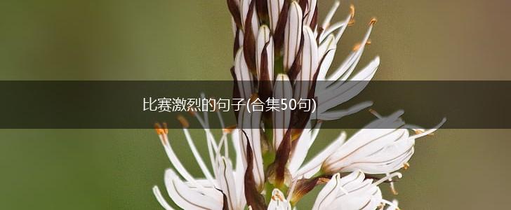 比赛激烈的句子(合集50句),第1张