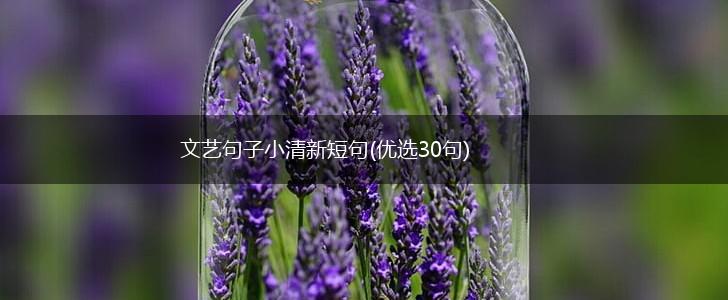 文艺句子小清新短句(优选30句),第1张