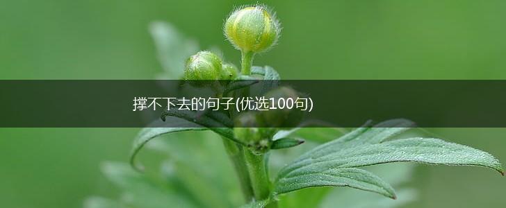 撑不下去的句子(优选100句),第1张