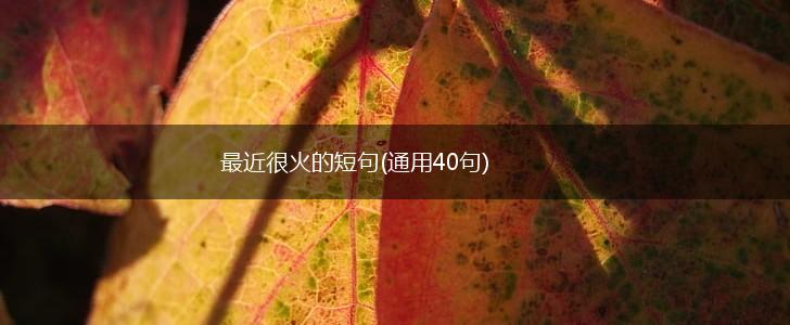 最近很火的短句(通用40句),第1张