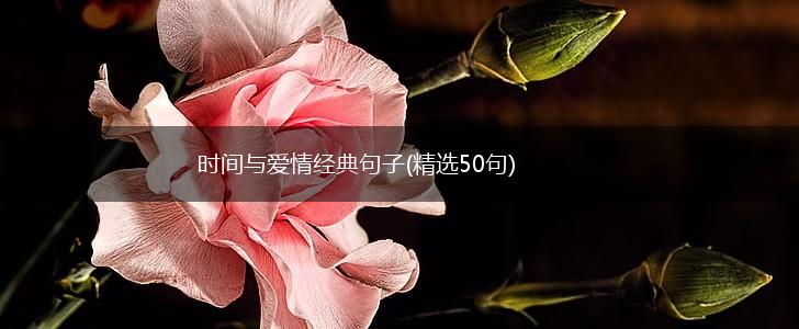 时间与爱情经典句子(精选50句),第1张