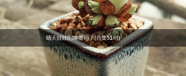 晴天娃娃的唯美句子(合集51句),第1张