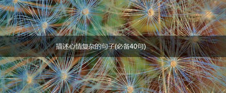 描述心情复杂的句子(必备40句),第1张