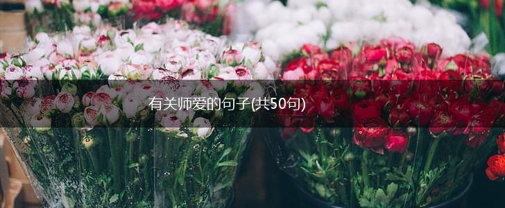有关师爱的句子(共50句),第1张