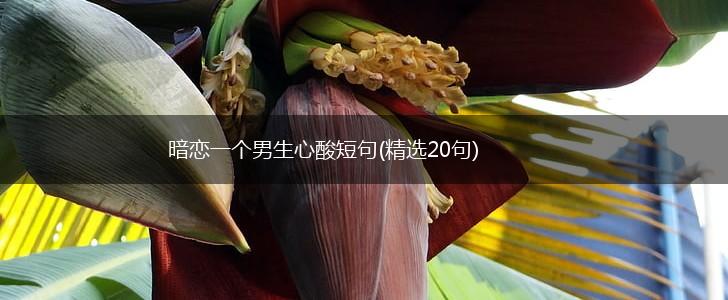 暗恋一个男生心酸短句(精选20句),第1张