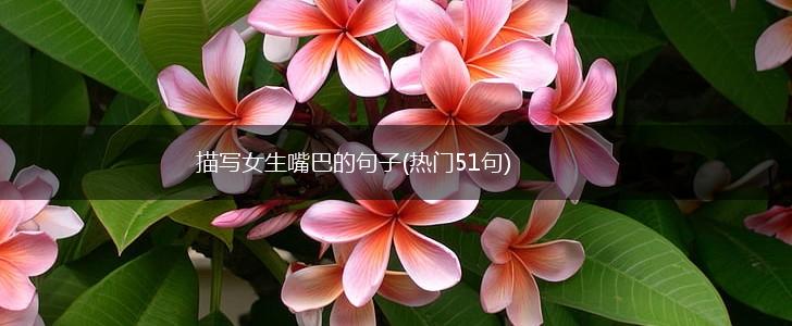 描写女生嘴巴的句子(热门51句),第1张