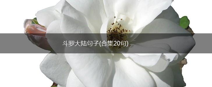斗罗大陆句子(合集20句),第1张