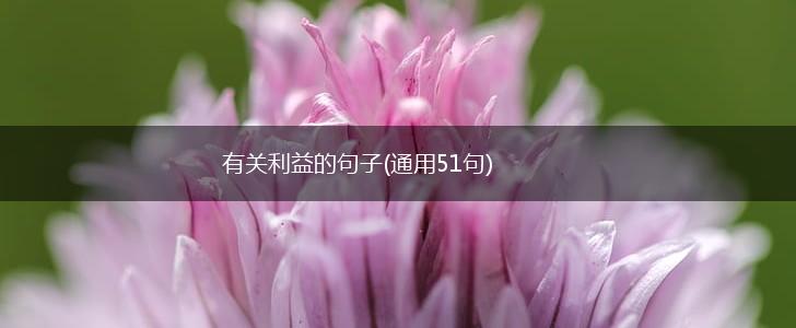 有关利益的句子(通用51句),第1张