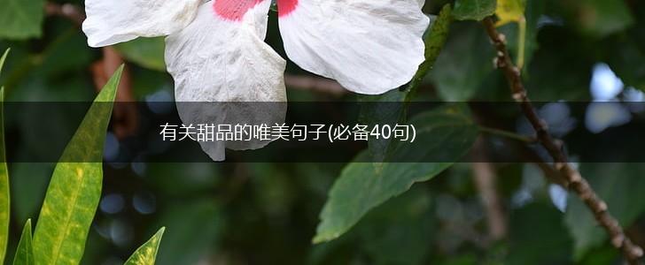 有关甜品的唯美句子(必备40句),第1张