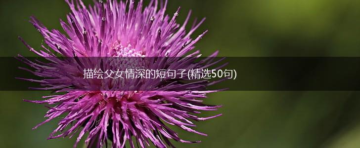 描绘父女情深的短句子(精选50句),第1张 描绘父女情深的短句子(精选50句),第1张