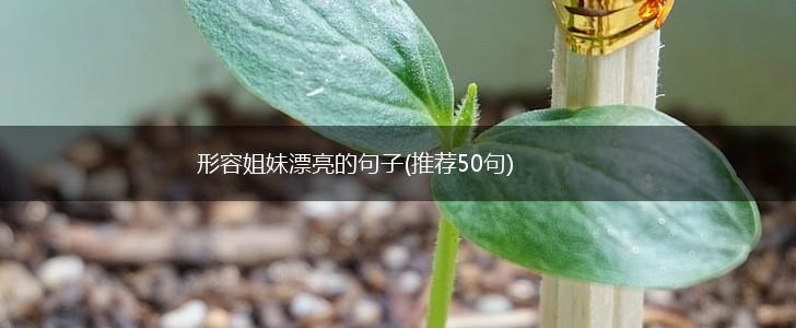 形容姐妹漂亮的句子(推荐50句),第1张