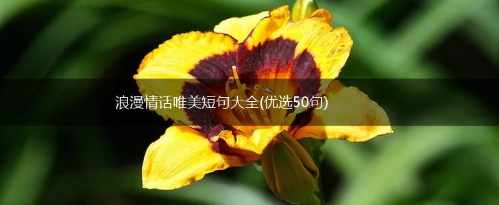 浪漫情话唯美短句大全(优选50句),第1张