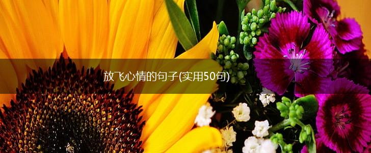 放飞心情的句子(实用50句),第1张