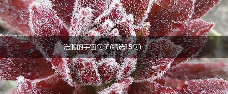 浩瀚的宇宙句子(精选15句),第1张