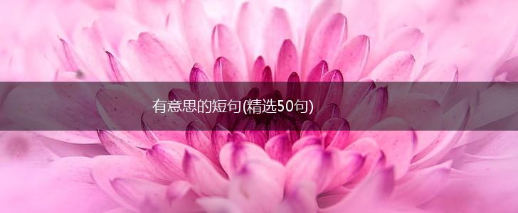 有意思的短句(精选50句),第1张
