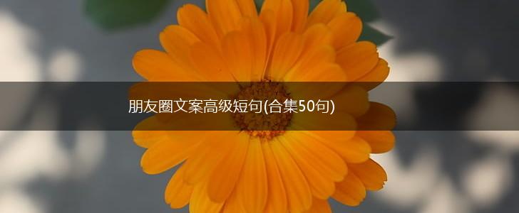 朋友圈文案高级短句(合集50句),第1张