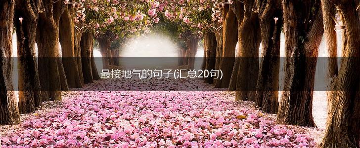 最接地气的句子(汇总20句),第1张