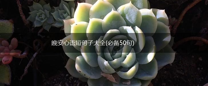 晚安心语短句子大全(必备50句),第1张
