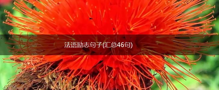 法语励志句子(汇总46句),第1张